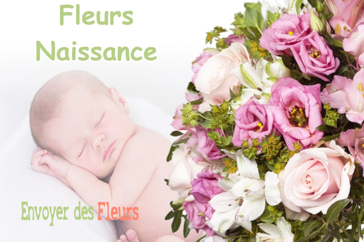 lIVRAISON FLEURS NAISSANCE à ARTAS